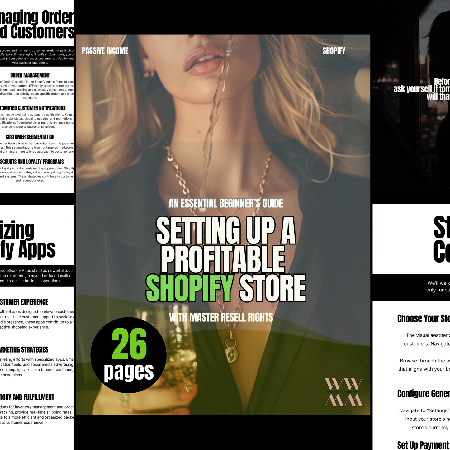 SETTING UP A PROFITABLE SHOPIFY STORE EBOOK (BEGINNER GUIDE)