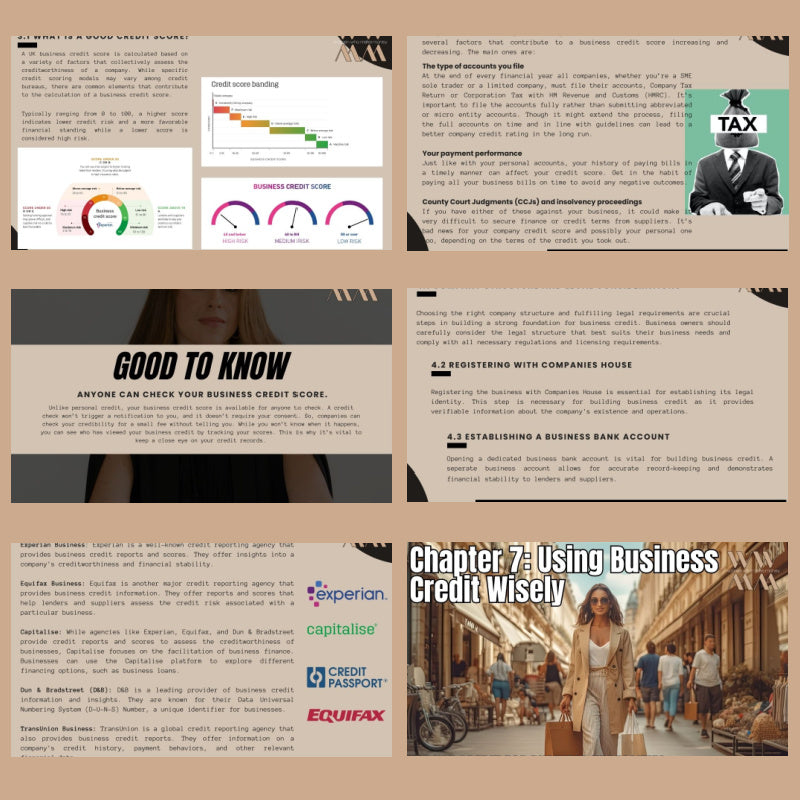 UNDERSTANDING BUSINESS CREDIT RATING & SCORE EBOOK